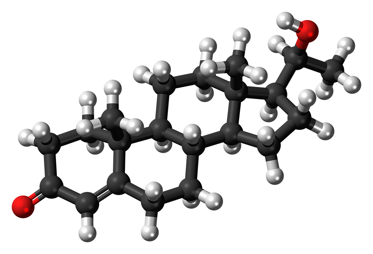 dihydroprogesterone, molecule, steroid-855556.jpg